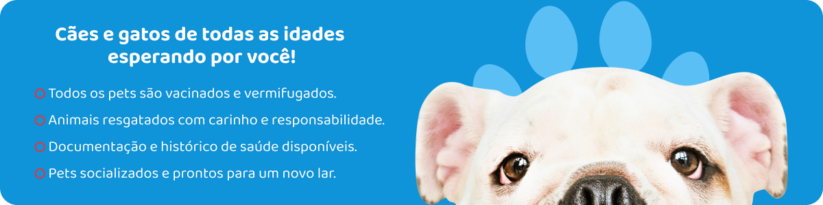 Banner com um cachorro