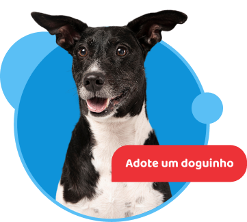 Banner de um cachorro