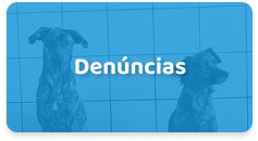 Denúncias