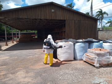 ALERTA DENGUE EM PARAPUÃ